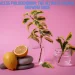 Pink Princess Philodendron The Ultimate Friendly Care & Growing Guide