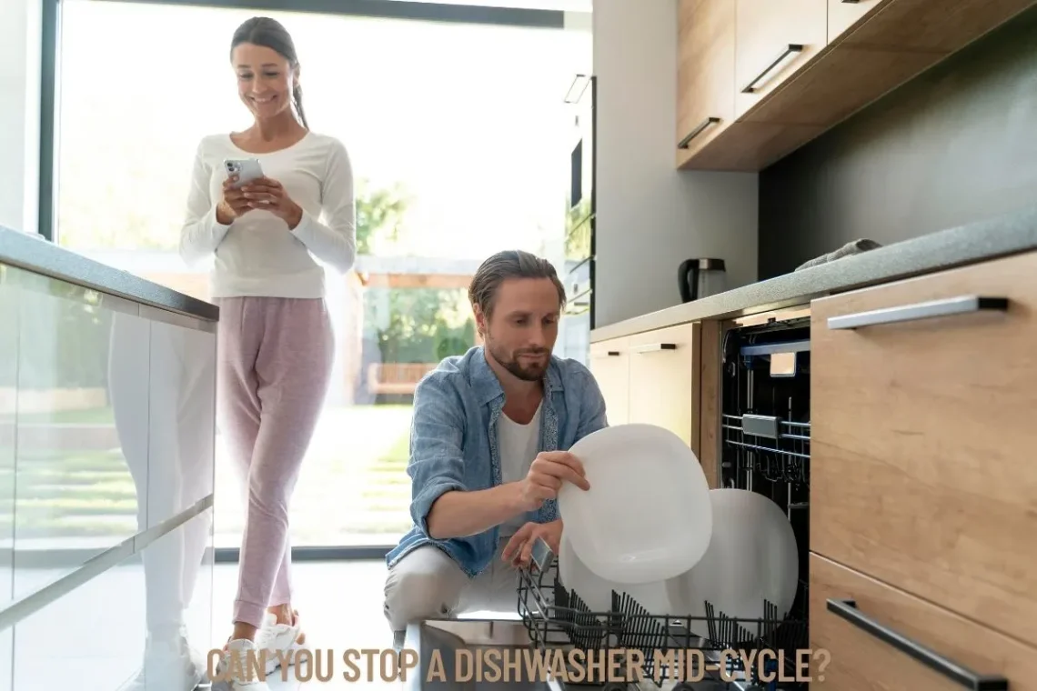 Can You Stop a Dishwasher Mid-Cycle