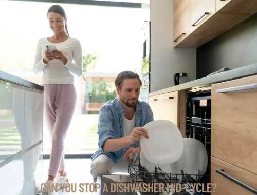 Can You Stop a Dishwasher Mid-Cycle