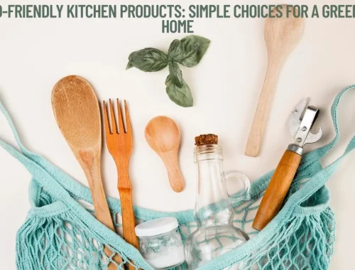 Eco-Friendly Kitchen Products Simple Choices for a Greener Home