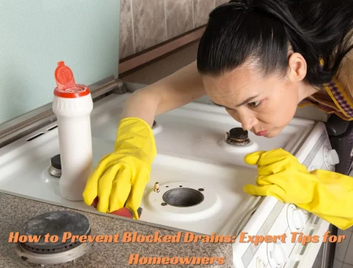 How to Prevent Blocked Drains Expert Tips for Homeowners