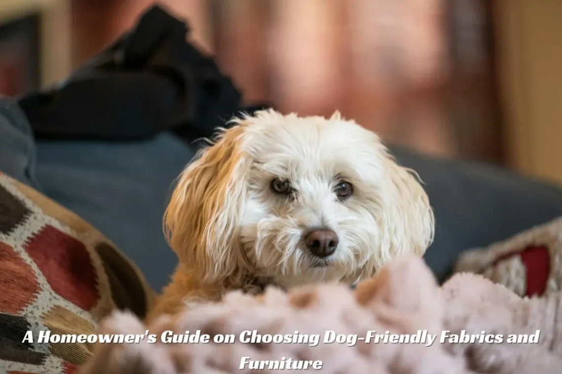 A Homeowner's Guide on Choosing Dog-Friendly Fabrics and Furniture