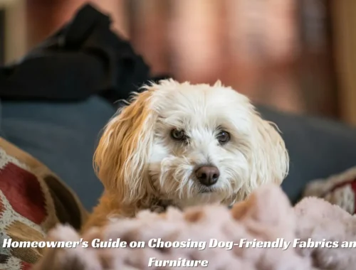 A Homeowner's Guide on Choosing Dog-Friendly Fabrics and Furniture